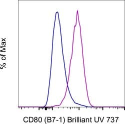 Invitrogen CD80 (B7-1) Monoclonal Antibody (2D10.4), Brilliant Ultra Violet