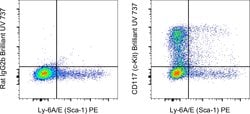 Invitrogen CD117 (c-Kit) Monoclonal Antibody (2B8), Brilliant Ultra Violet
