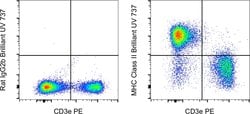 Invitrogen MHC Class II (I-A/I-E) Monoclonal Antibody (M5/114.15.2), Brilliant