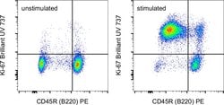 Invitrogen Ki-67 Monoclonal Antibody (SolA15), Brilliant Ultra Violet 737,