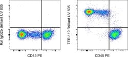 TER-119 Monoclonal Antibody (TER-119), Brilliant Ultra Violet 805, eBioscience