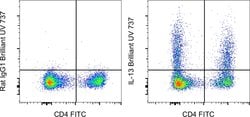 Invitrogen IL-13 Monoclonal Antibody (eBio13A), Brilliant Ultra Violet