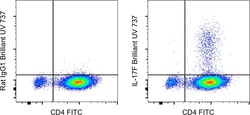 Invitrogen™ IL-17F Monoclonal Antibody (SHLR17), Brilliant Ultra Violet™ 737, eBioscience™