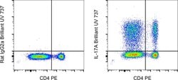IL-17A Monoclonal Antibody (eBio17B7), Brilliant Ultra Violet 737, eBioscience
