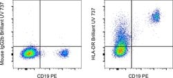 Invitrogen HLA-DR Monoclonal Antibody (LN3), Brilliant Ultra Violet 737,