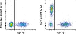 Invitrogen CD19 Monoclonal Antibody (SJ25C1), Brilliant Ultra Violet 805,