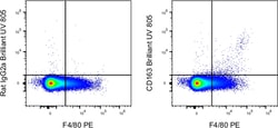 Invitrogen™ CD163 Monoclonal Antibody (TNKUPJ), Brilliant Ultra Violet™ 805, eBioscience™