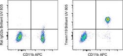 Invitrogen&trade;&nbsp;Tmem119 Monoclonal Antibody (V3RT1GOsz), Brilliant Ultra Violet&trade; 805, eBioscience&trade;