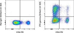 Invitrogen IFN gamma Monoclonal Antibody (XMG1.2), Brilliant Ultra Violet