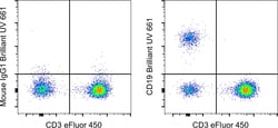 Invitrogen CD19 Monoclonal Antibody (HIB19), Brilliant Ultra Violet 661, eBioscience , Invitrogen 100 Tests | Buy Online | Invitrogen&trade; | Fisher Scientific