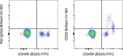 CD20 Monoclonal Antibody (QCH6A7), Brilliant Ultra Violet&trade; 661, eBioscience&trade;, Invitrogen&trade;