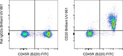 Invitrogen CD20 Monoclonal Antibody (QCH6A7), Brilliant Ultra Violet 661, eBioscience , Invitrogen 100 &mu;g | Buy Online | Invitrogen&trade; | Fisher Scientific