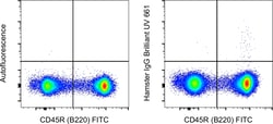 Invitrogen&trade;&nbsp;Armenian Hamster IgG Isotype Control (eBio299Arm), Brilliant Ultra Violet&trade; 661, eBioscience&trade;