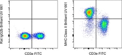 Invitrogen MHC Class II (I-A/I-E) Monoclonal Antibody (M5/114.15.2), Brilliant