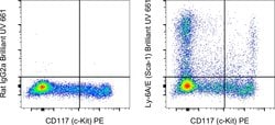 Invitrogen Ly-6A/E (Sca-1) Monoclonal Antibody (D7), Brilliant Ultra Violet