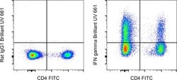IFN gamma Monoclonal Antibody (XMG1.2), Brilliant Ultra Violet 661, eBioscience