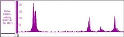 Histone H3K27ac Polyclonal Antibody, Active Motif 50 &mu;g; Unconjugated:Antibodies,