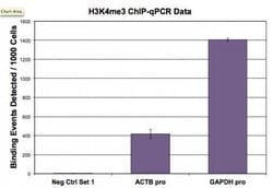Histone H3K4me3 Polyclonal Antibody, Active Motif 100 &mu;L; Unconjugated:Antibodies,