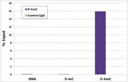 5-Hydroxymethylcytosine (5-hmC) Polyclonal Antibody, Active Motif 50 &mu;g;
