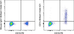 Invitrogen&trade;&nbsp;CD1c Monoclonal Antibody (L161), Brilliant Violet&trade; 421, eBioscience&trade;