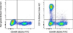 Invitrogen CD11b Monoclonal Antibody (M1/70), Brilliant Violet 421, eBioscience