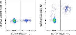 CD31 (PECAM-1) Monoclonal Antibody (390), Brilliant Violet 421, eBioscience
