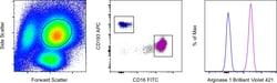 Arginase 1 Monoclonal Antibody (A1exF5), Brilliant Violet 421, eBioscience