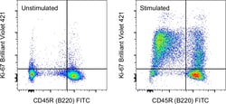 Ki-67 Monoclonal Antibody (SolA15), Brilliant Violet 421, eBioscience ,