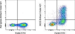 iNOS Monoclonal Antibody (CXNFT), Brilliant Violet 421, eBioscience , Invitrogen:Antibodies:Primary