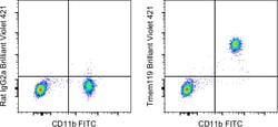 Invitrogen™ Tmem119 Monoclonal Antibody (V3RT1GOsz), Brilliant Violet™ 421, eBioscience™