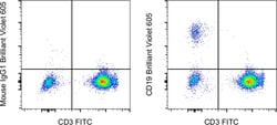 Invitrogen CD19 Monoclonal Antibody (HIB19), Brilliant Violet 605, eBioscience