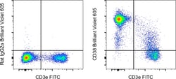 Invitrogen CD38 Monoclonal Antibody (90), Brilliant Violet 605, eBioscience