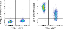 Invitrogen CD45 Monoclonal Antibody (30-F11), Brilliant Violet 605, eBioscience
