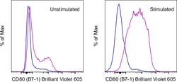 Invitrogen&trade;&nbsp;CD80 (B7-1) Monoclonal Antibody (16-10A1), Brilliant Violet&trade; 605, eBioscience&trade;