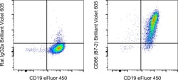 Invitrogen CD86 (B7-2) Monoclonal Antibody (GL1), Brilliant Violet 605,