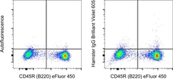 Armenian Hamster IgG Isotype Control (eBio299Arm), Brilliant Violet™ 605, eBioscience™, Invitrogen™