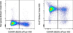 Ki-67 Monoclonal Antibody (SolA15), Brilliant Violet 605, eBioscience ,