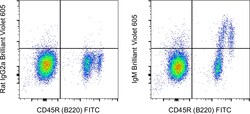 Invitrogen IgM Monoclonal Antibody (II/41), Brilliant Violet 605, eBioscience