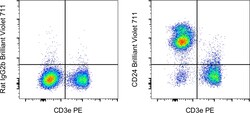 CD24 Monoclonal Antibody (M1/69), Brilliant Violet 711, eBioscience , Invitrogen:Antibodies:Primary