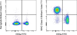 MHC Class II (I-A/I-E) Monoclonal Antibody (M5/114.15.2), Brilliant Violet