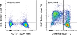 Ki-67 Monoclonal Antibody (SolA15), Brilliant Violet 711, eBioscience ,