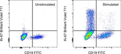 Ki-67 Monoclonal Antibody (20Raj1), Brilliant Violet&trade; 711, eBioscience&trade;, Invitrogen&trade;
