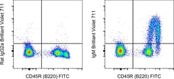 IgM Monoclonal Antibody (II/41), Brilliant Violet 711, eBioscience , Invitrogen:Antibodies:Primary