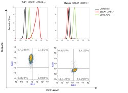 Invitrogen SSEA1 Monoclonal Antibody (MC-480) 100 &mu;g; Unconjugated:Antibodies,