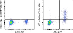 Invitrogen&trade;&nbsp;CD1c Monoclonal Antibody (L161), Brilliant Violet&trade; 480, eBioscience&trade;