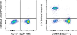 CD4 Monoclonal Antibody (GK1.5), Brilliant Violet 480, eBioscience , Invitrogen:Antibodies:Primary