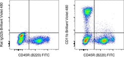 Invitrogen CD11b Monoclonal Antibody (M1/70), Brilliant Violet 480, eBioscience
