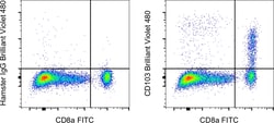 Invitrogen CD103 (Integrin alpha E) Monoclonal Antibody (2E7), Brilliant