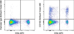 Invitrogen™ CD183 (CXCR3) Monoclonal Antibody (CXCR3-173), Brilliant Violet™ 480, eBioscience™