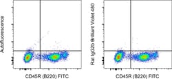Invitrogen&trade;&nbsp;Rat IgG2b kappa Isotype Control (eB149/10H5), Brilliant Violet&trade; 480, eBioscience&trade;